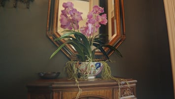 Still from video shoot