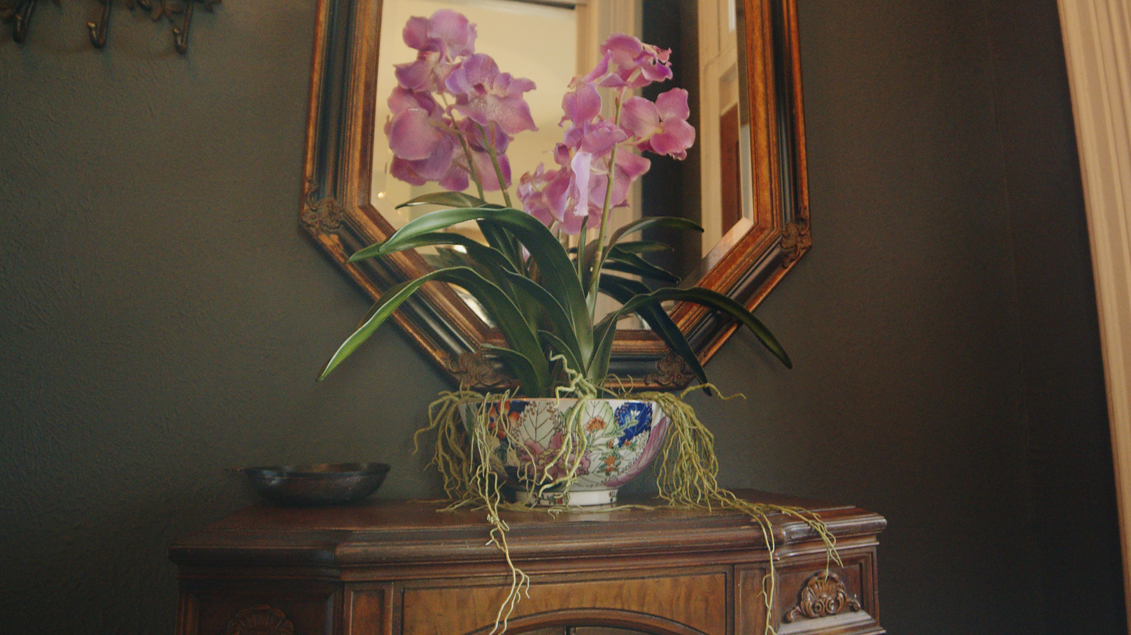 Still from video shoot